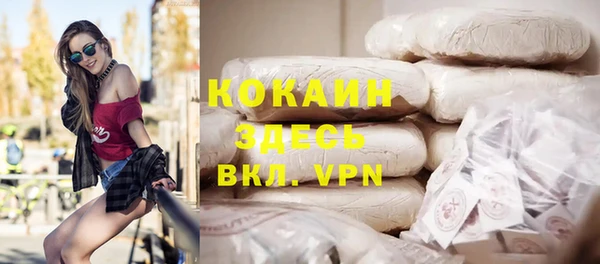хмурый Алзамай
