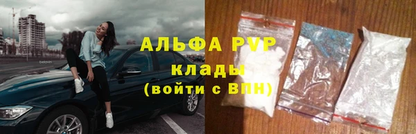хмурый Алзамай