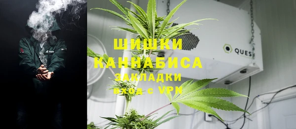 молекула духа Алексин