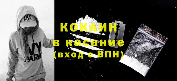 хмурый Алзамай