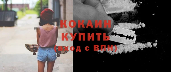 молекула духа Алексин