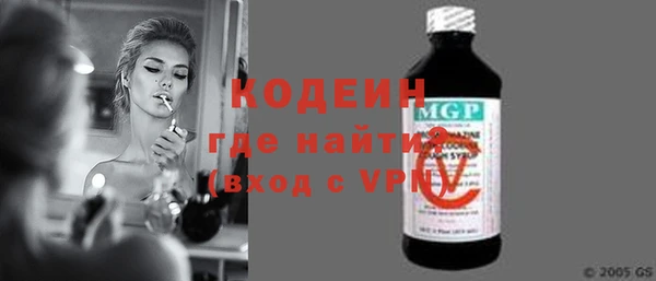 хмурый Алзамай