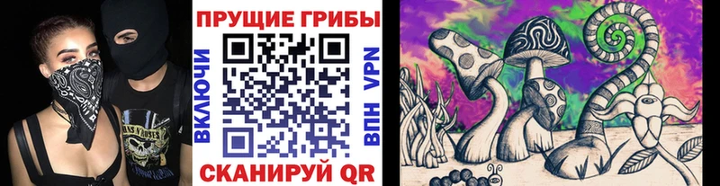 Псилоцибиновые грибы MAGIC MUSHROOMS  даркнет сайт  Кинель 